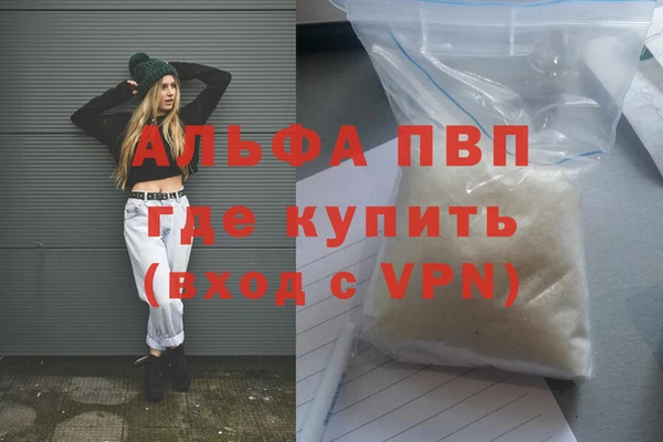 стаф Вяземский