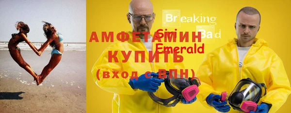 стаф Вяземский