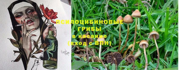 стаф Вяземский