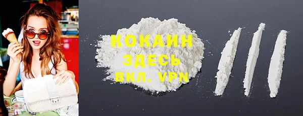 стаф Вяземский
