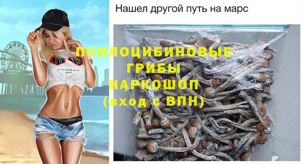 стаф Вяземский