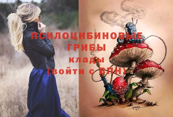 герыч Вязьма