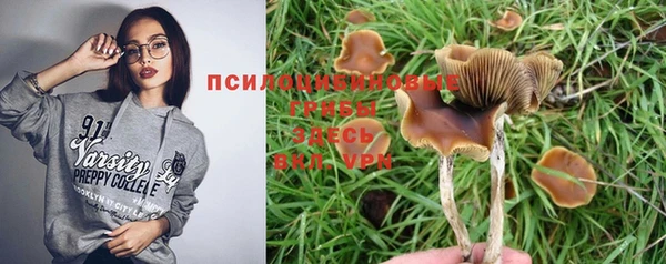 стаф Вяземский
