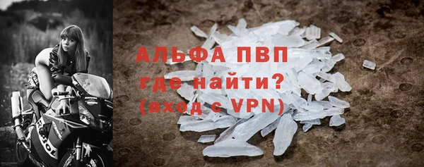 стаф Вяземский