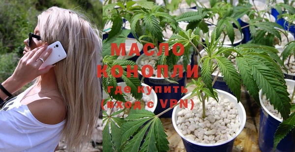 стаф Вяземский