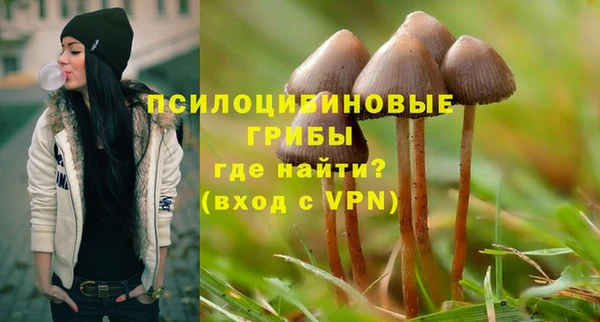 стаф Вяземский