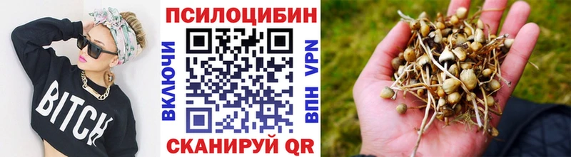 Псилоцибиновые грибы мухоморы  МЕГА ссылки  Люберцы 