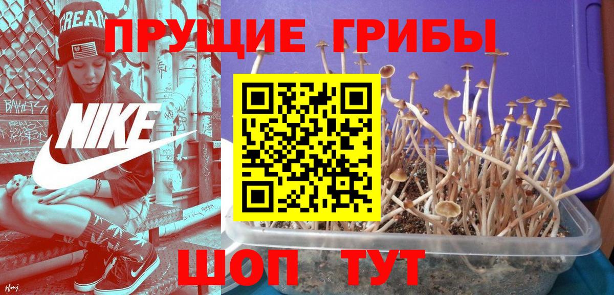 Галлюциногенные грибы ЛСД  Псилоцибиновые грибы прущие грибы  Люберцы  Вход с VPN 