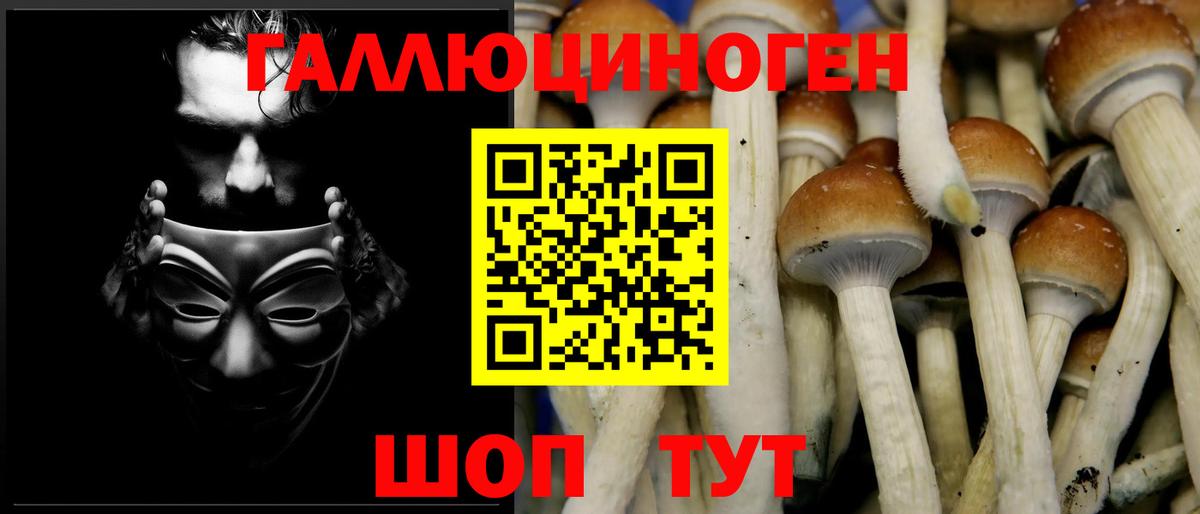 Псилоцибиновые грибы Magic Shrooms Люберцы